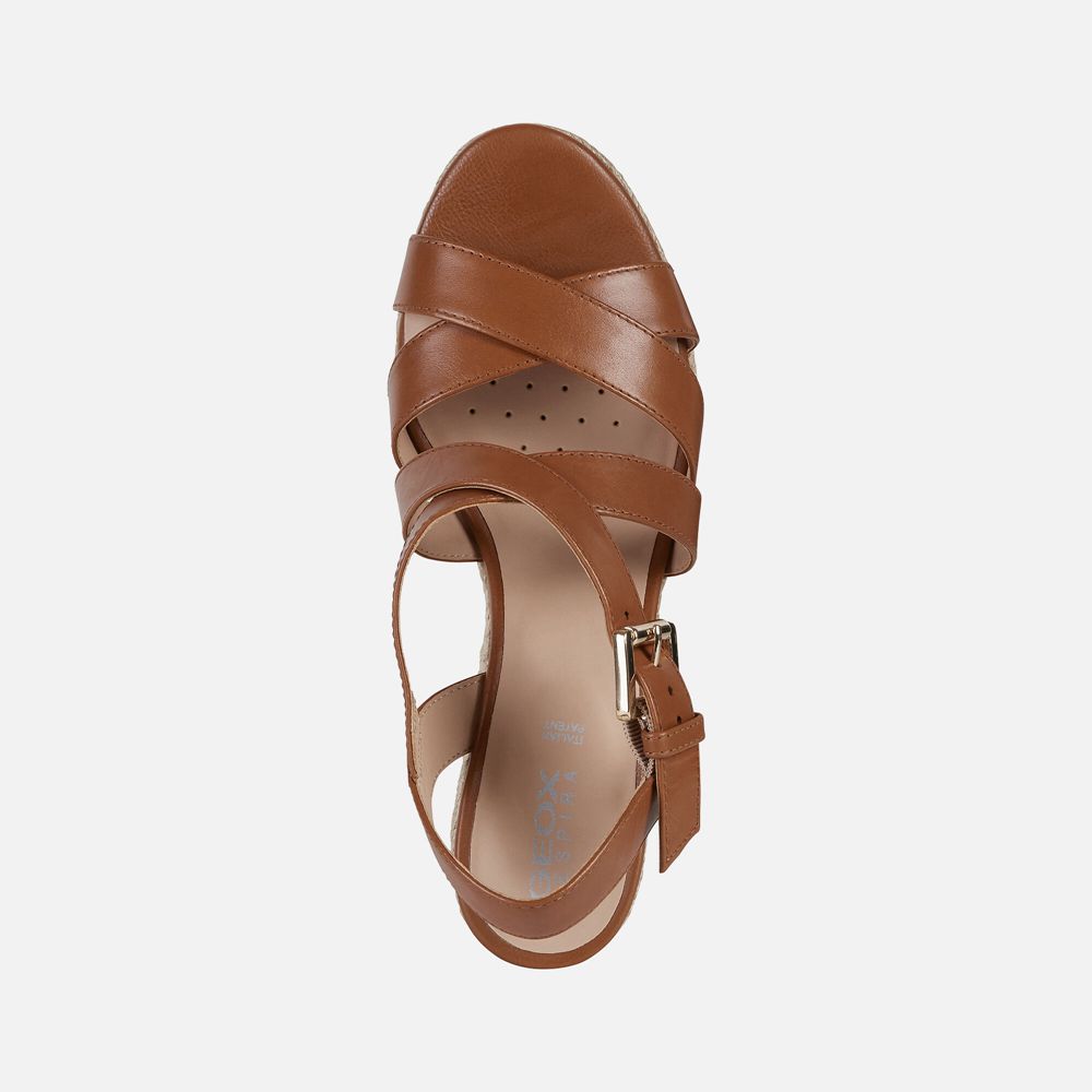 Geox Sandals Brown Ponza - Geox Womens Shoes - ENZBMA961